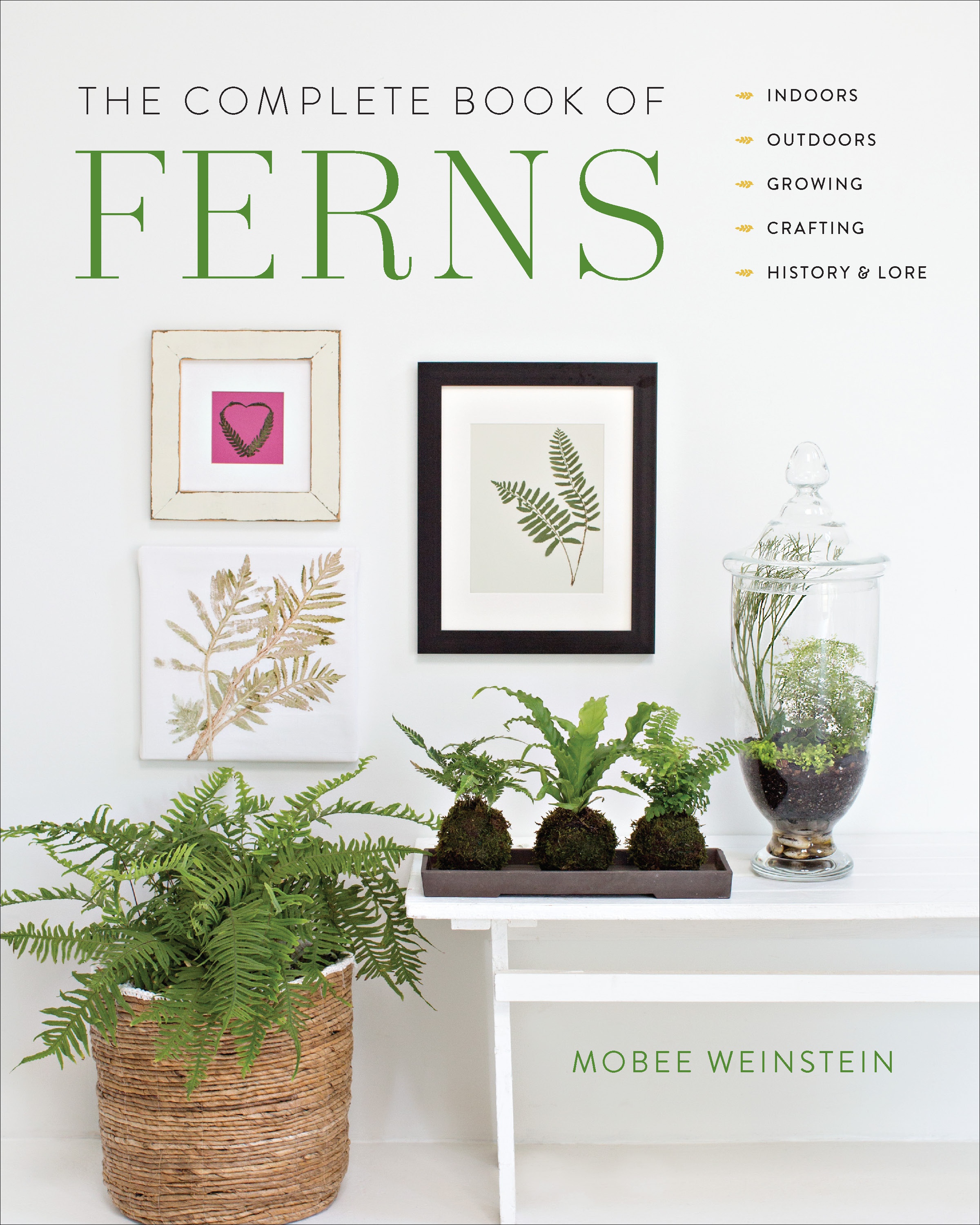 Blog 45 Best Indoor Plants That Transform Your Home